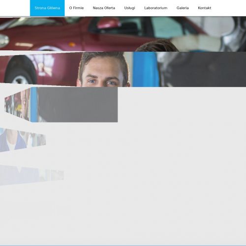 Naprawa wtryskiwaczy daf