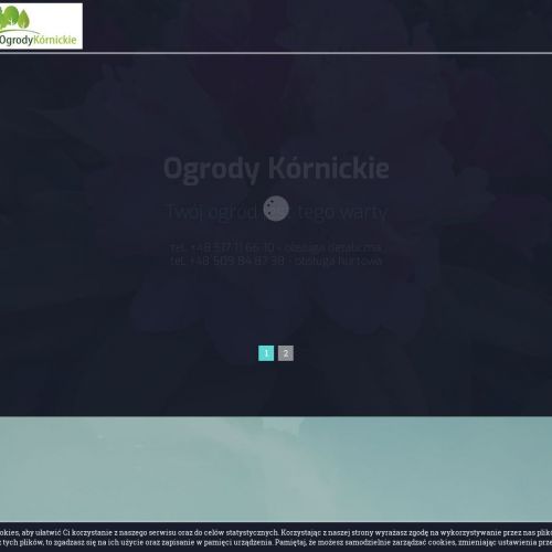 Drzewa iglaste szkółka - Poznań