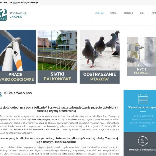 Siatka przeciw ptakom w Łodzi