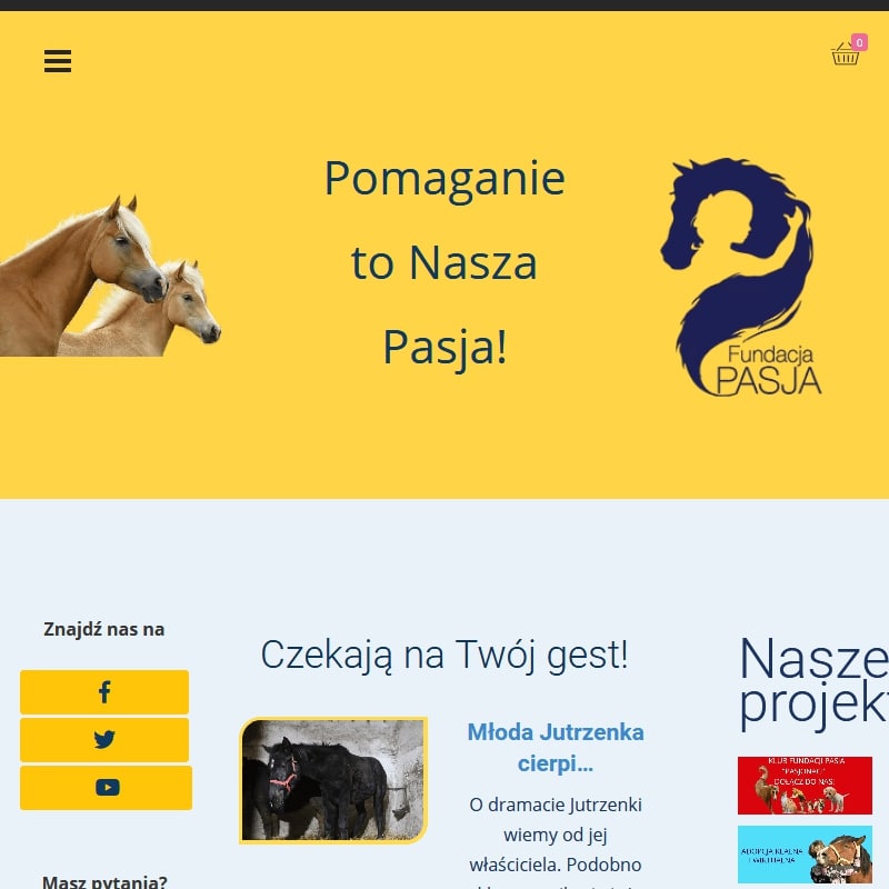 Adopcja koni
