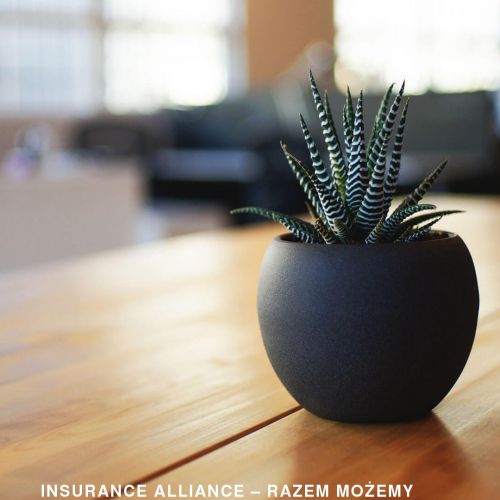 Multiagencje ubezpieczeniowe w polsce - Gdańsk