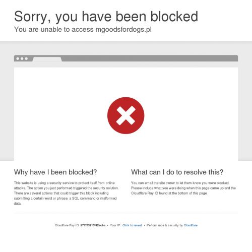 Wytrzymałe zabawki dla psa