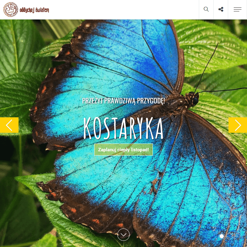 Podróże w małych grupach - Poznań