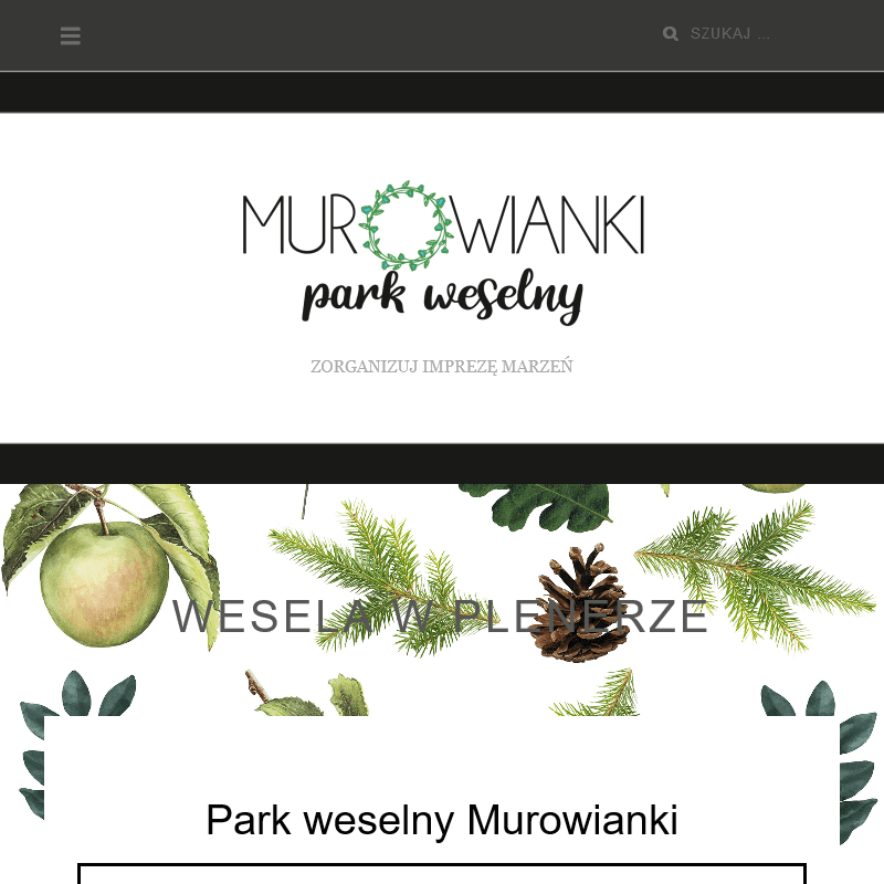 Sala weselna - Turek