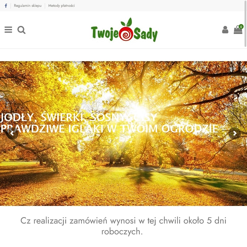 Jabłoń lobo